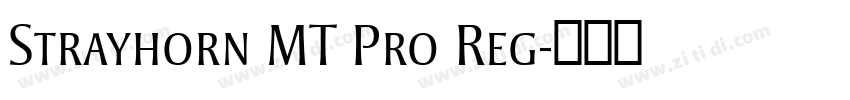 Strayhorn MT Pro Reg字体转换
